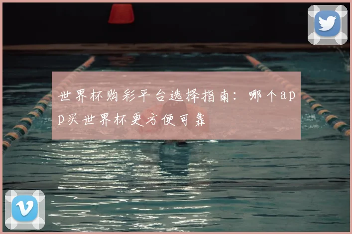 世界杯购彩平台选择指南：哪个app买世界杯更方便可靠