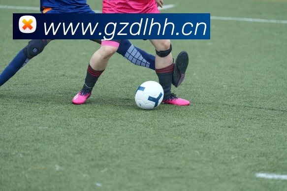 开云(中国)Kaiyun·官方网站 - 登录入口服务体系